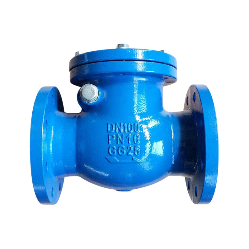 Válvula Check De 6 Pulgada Bridada Ductil Clase 125