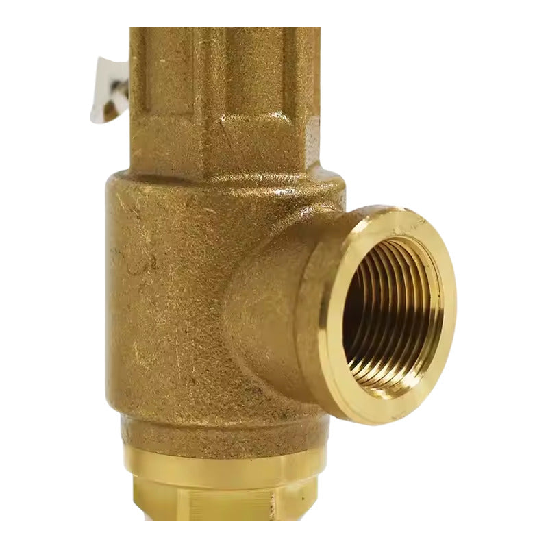 Válvula De Seguridad De 1-1/4 Pulgada
