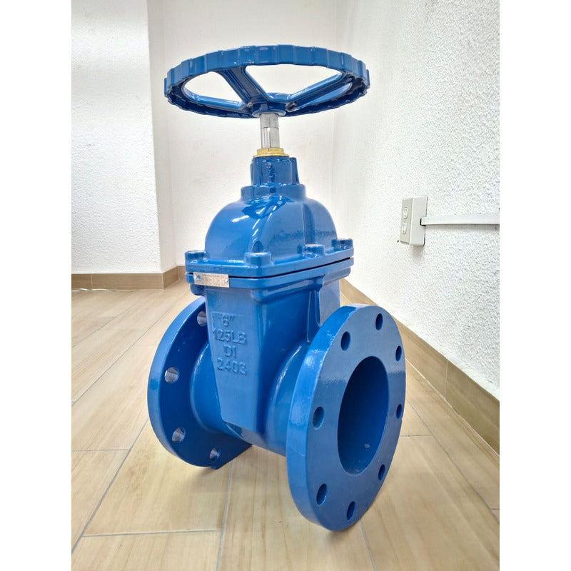 Válvula Compuerta Bridada De 6 Pulgada Resilente