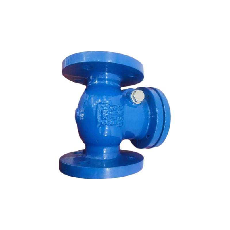 Válvula Check De 2-1/2 Pulgada Bridada Ductil Clase 125