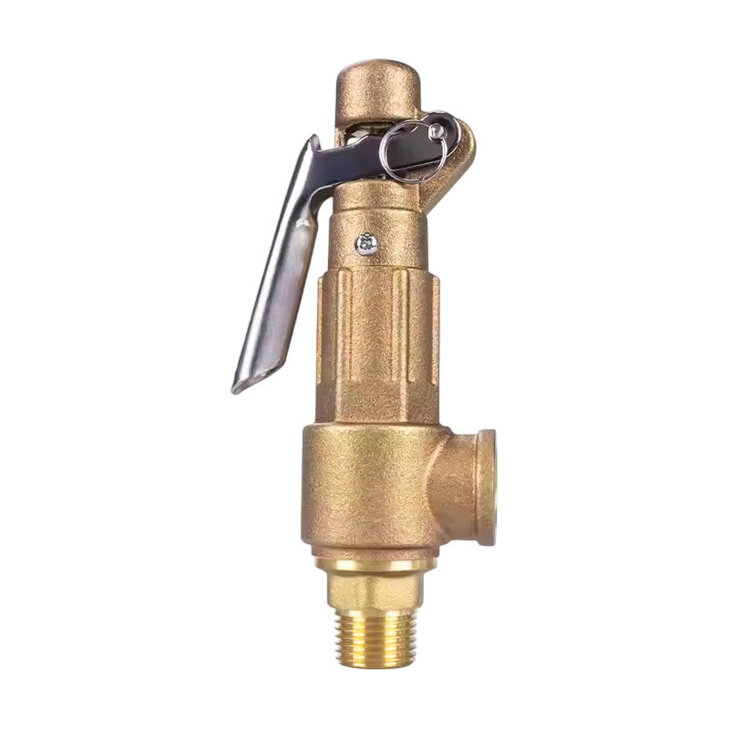 Válvula De Seguridad De 1-1/4 Pulgada