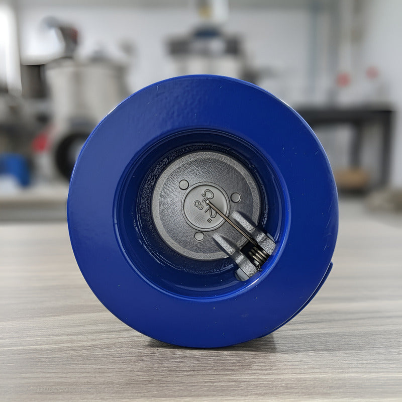 Valvula Check Oblea De 6 Pulgada Disco Inox