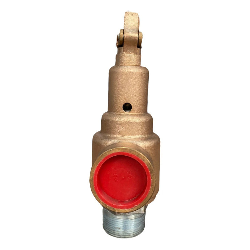 Válvula De Seguridad De 2-1/2  Marca Vayremex