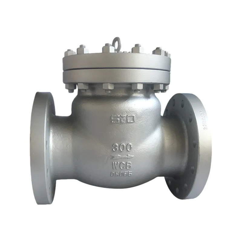 Valvula Check Bridada Clase 300 De 3 Pulgada Wcb