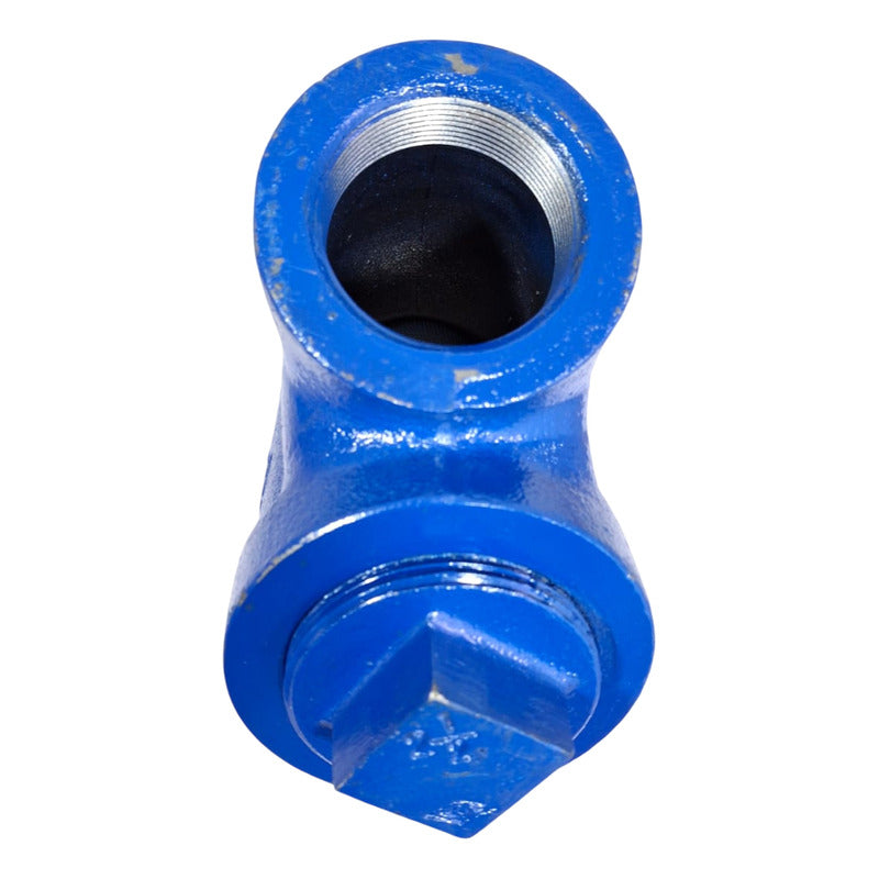 Filtro Yee De 2 Pulgada  Spirax Sarco Roscada